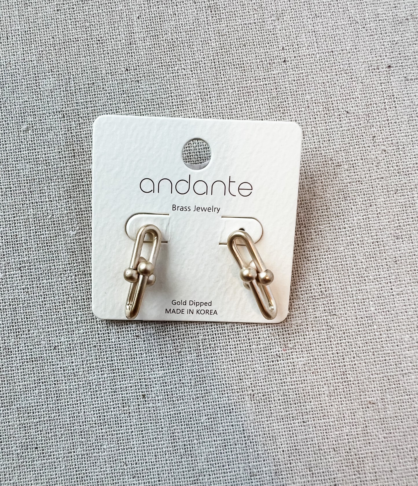 All Linked Up Earrings