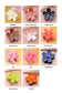 Flower Claw Clips