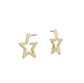 Silver/Gold Micro Stars