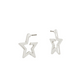 Silver/Gold Micro Stars