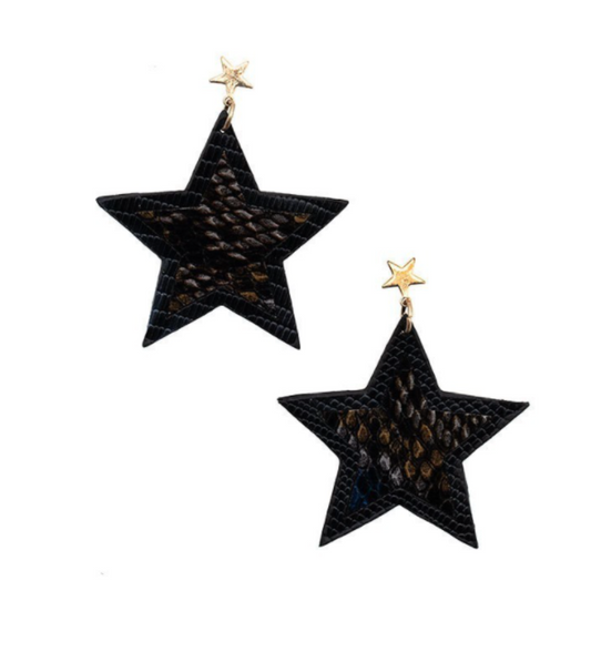 Shooting Star Earrings